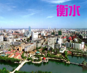 河北省衡水市012