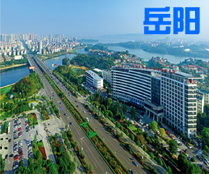 湖南省岳阳市007