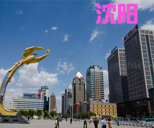 辽宁省沈阳市002