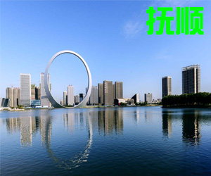 辽宁省抚顺市005