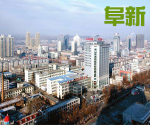 辽宁省阜新市010