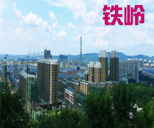 辽宁省铁岭市013