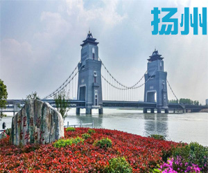 江苏省扬州市011