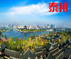 江苏省泰州市013