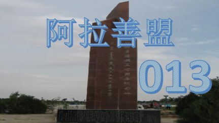 阿拉善