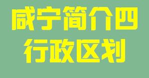 咸宁011