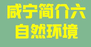 咸宁011