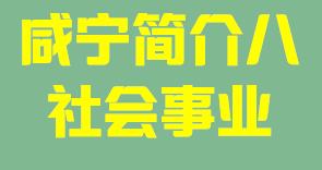 咸宁011