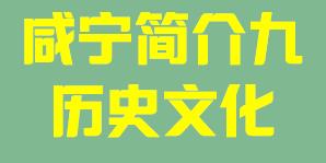 咸宁011
