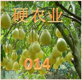 青海省简介
