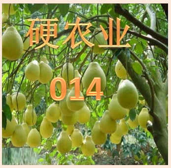 内蒙古自治区简介