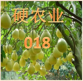 广西自治区简介