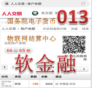 软金融