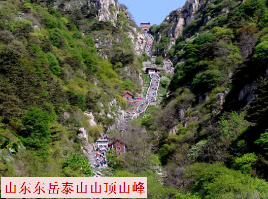 山东省简介001