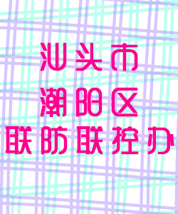 汕头市潮阳区联防联控办公室016