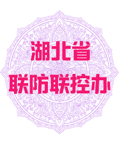 湖北省联防联控办公室009