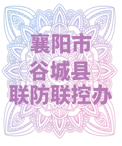 襄阳市谷城县联防联控办公室009