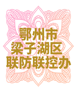 鄂州市梁子湖区联防联控办公室009