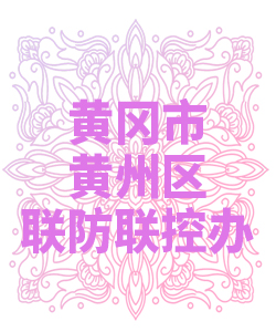 黄冈市黄州区联防联控办公室009