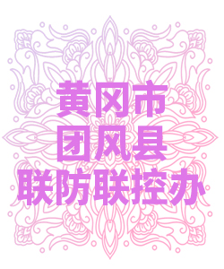 黄冈市团风县联防联控办公室009