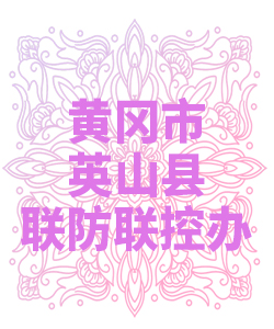 黄冈市英山县联防联控办公室009