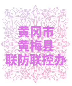 黄冈市黄梅县联防联控办公室009