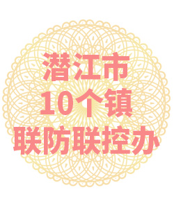 潜江市10个镇联防联控办公室009