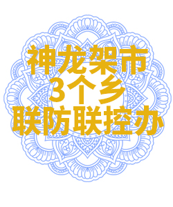 神龙架市3个乡联防联控办公室009