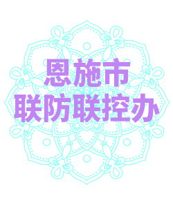 恩施市联防联控办公室009