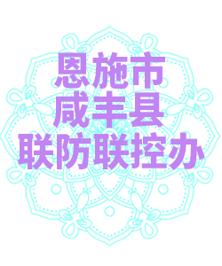 恩施市咸丰县联防联控办公室009