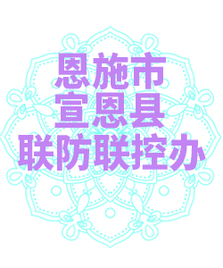 恩施市宣恩县联防联控办公室009