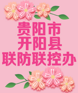 贵阳市开阳区联防联控办公室020