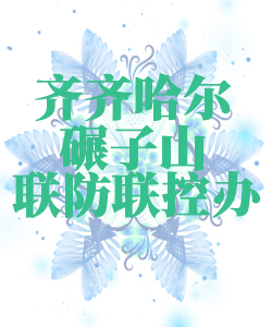 齐齐哈尔市碾子山025