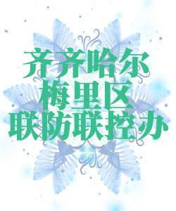 齐齐哈尔市梅里区025