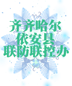 齐齐哈尔市依安县025