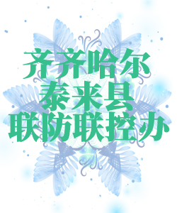 齐齐哈尔市泰来县025