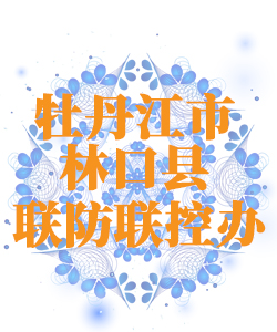 牡丹江市林口县025