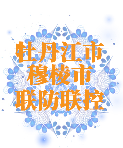 牡丹江市穆棱市025