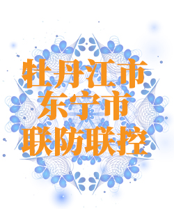 牡丹江市东宁市025