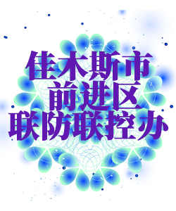 佳木斯市前进区025