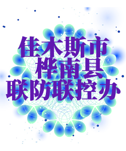 佳木斯市桦南县025
