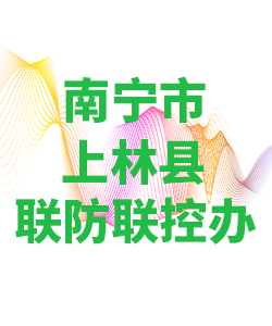 南宁市上林县028