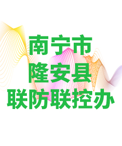 南宁市隆安县028