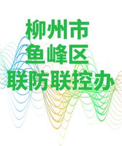 柳州市鱼峰区028
