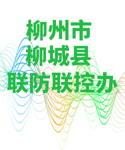 柳州市柳城县028