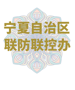 宁夏自治区029
