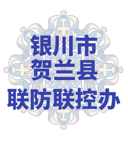 银川市贺兰县029