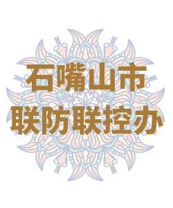 石嘴山市029