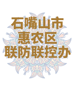 石嘴山市惠农区029