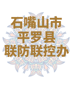 石嘴山市平罗县029